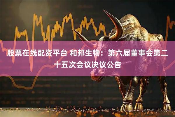 股票在线配资平台 和邦生物：第六届董事会第二十五次会议决议公告